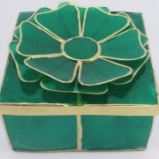 RT-7001 (GReen)